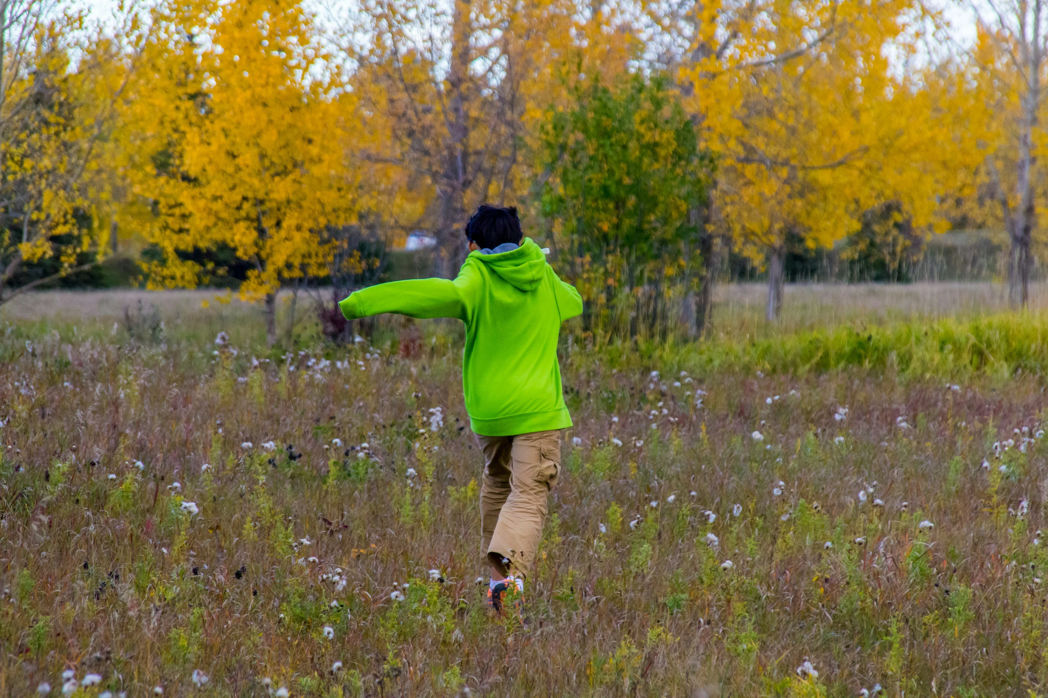 Eine Person im grünen Kapuzenpulli läuft mit ausgebreiteten Armen durch eine hohe Herbstwiese; sie ist von hinten zu sehen, dahinter stehen goldgelb belaubte Bäume.